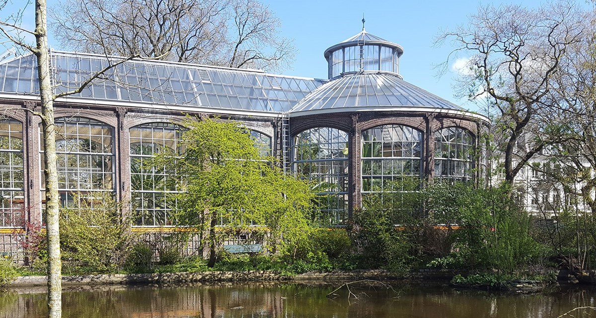 باغ گیاه شناسی و باغ وحش آمستردام 