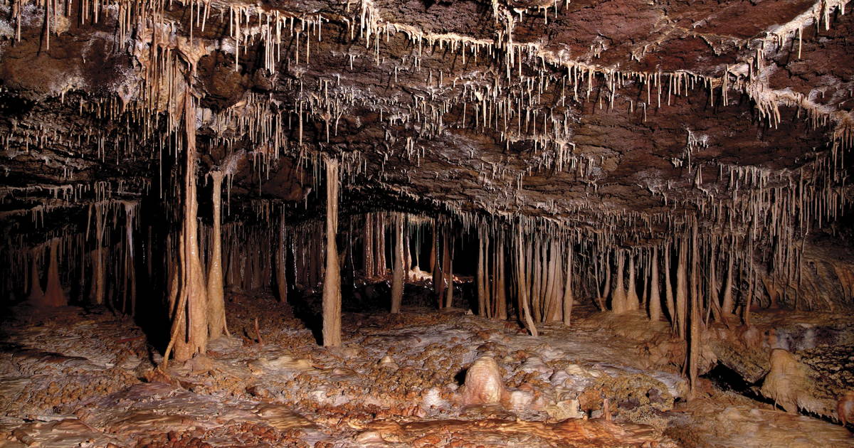 غار مانجانگل