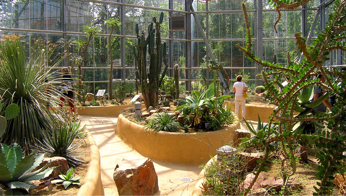 باغ گیاه شناسی و باغ وحش آمستردام 