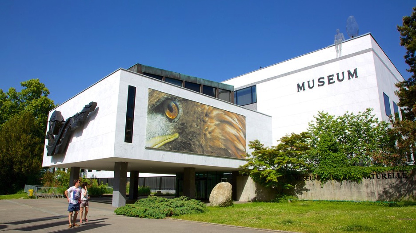 موزه تاریخ طبیعی ژنو