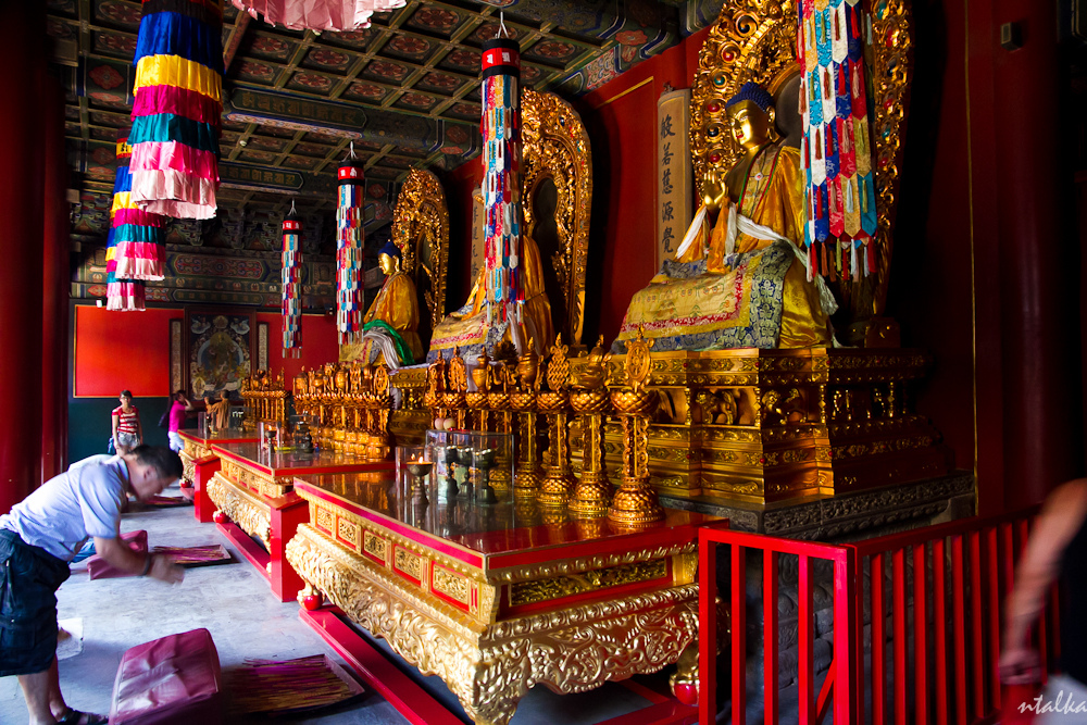 معبد لاما 