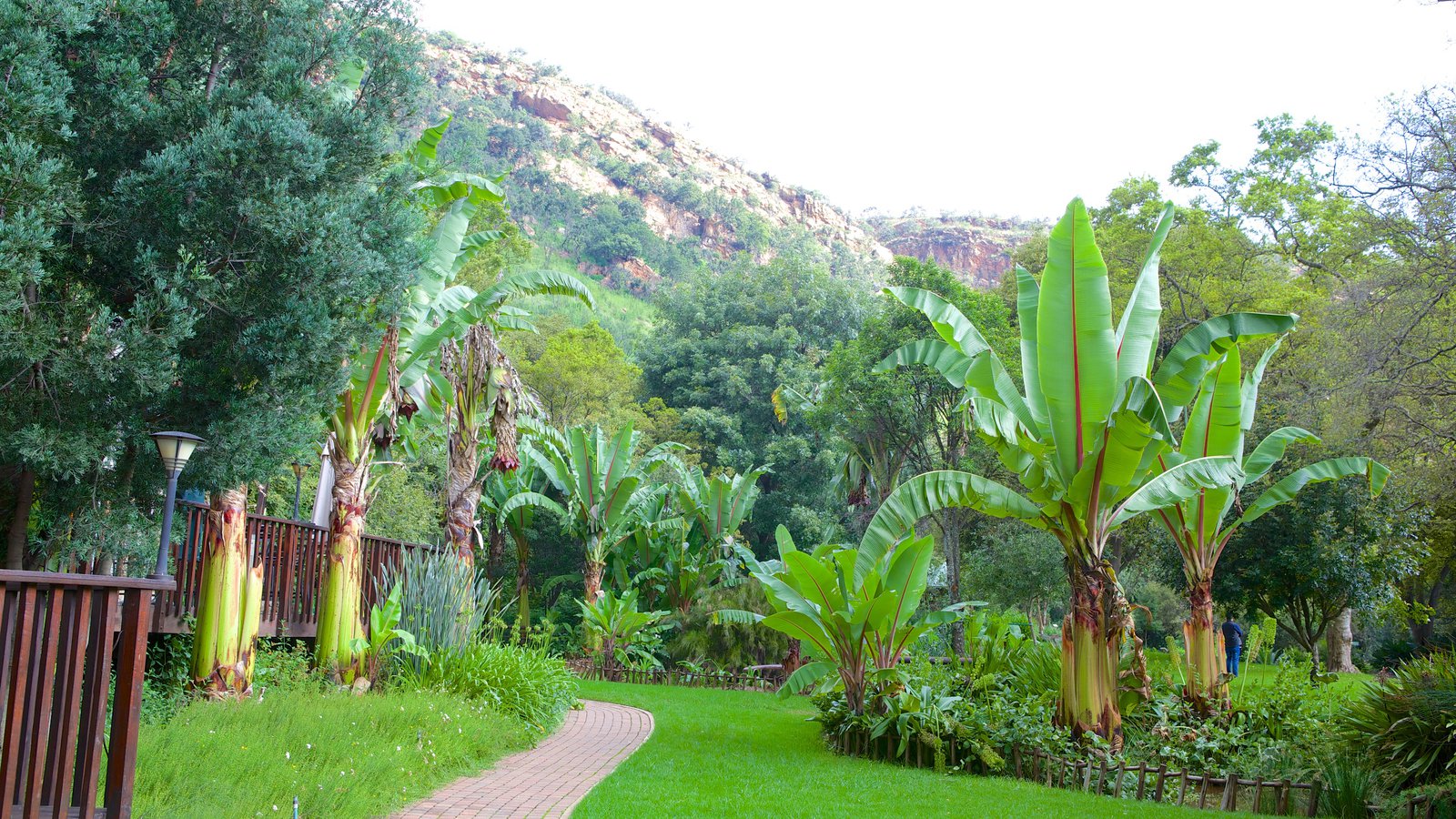 Walter sisulu national botanical gardens
