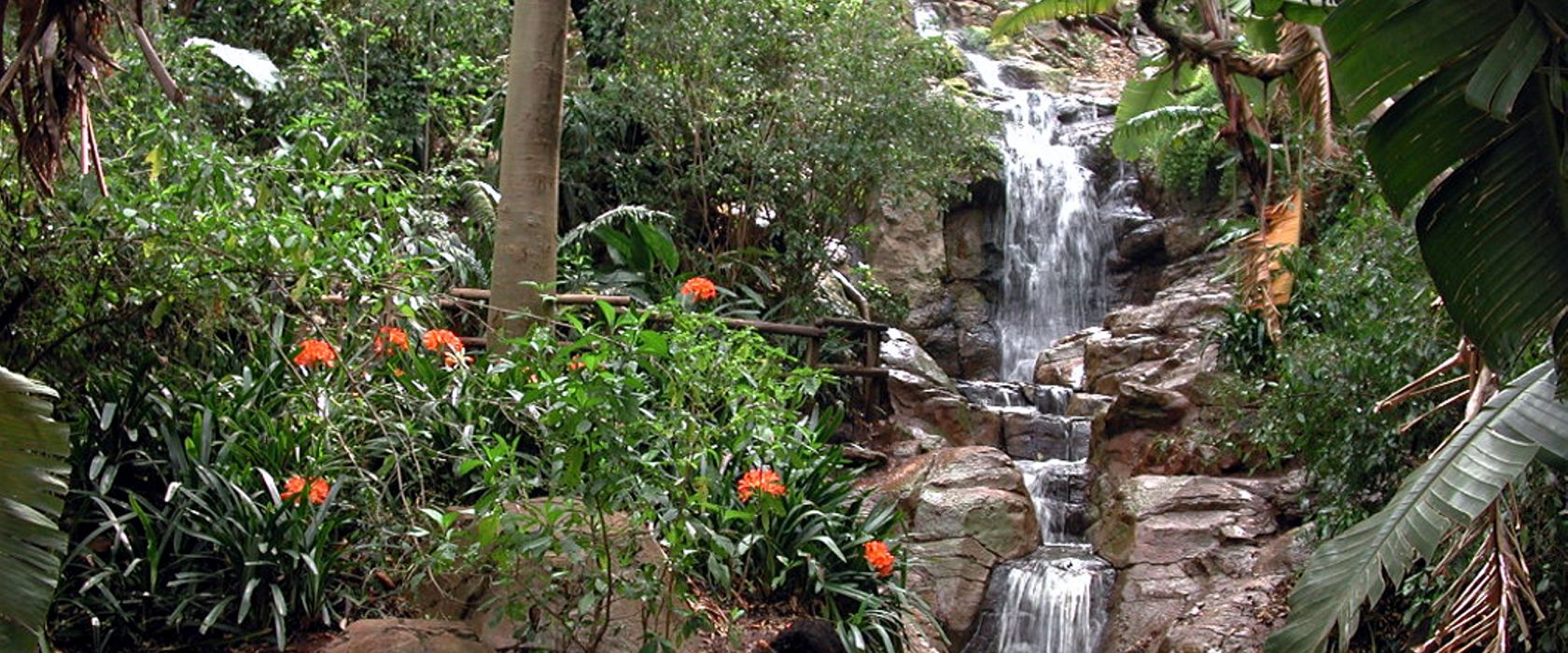 باغ ملی گل پرتوریا 
