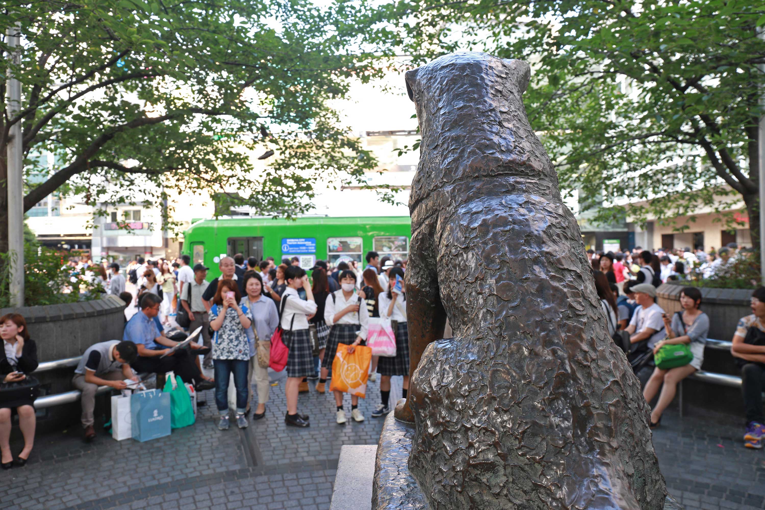 مجسمه ی هاچیکو