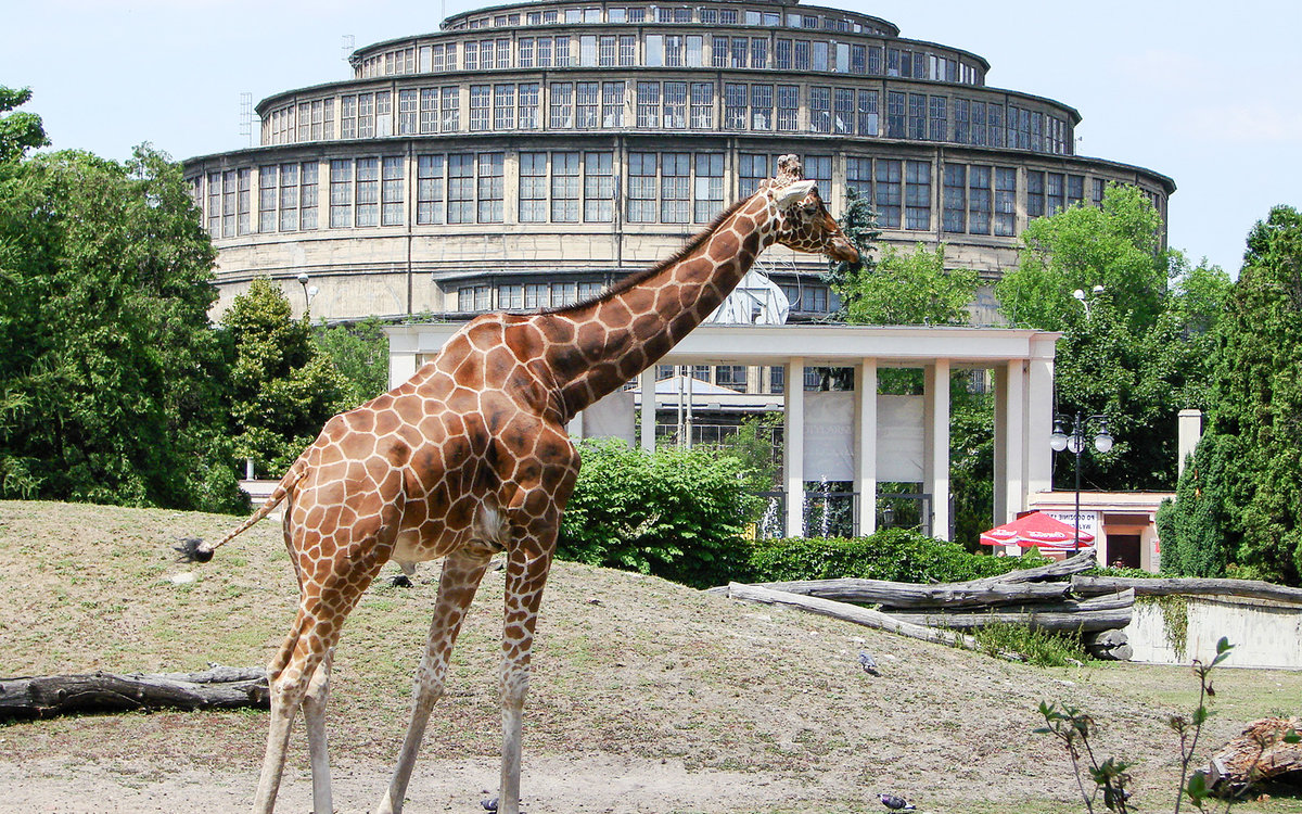 باغ وحش براتیسلاوا 