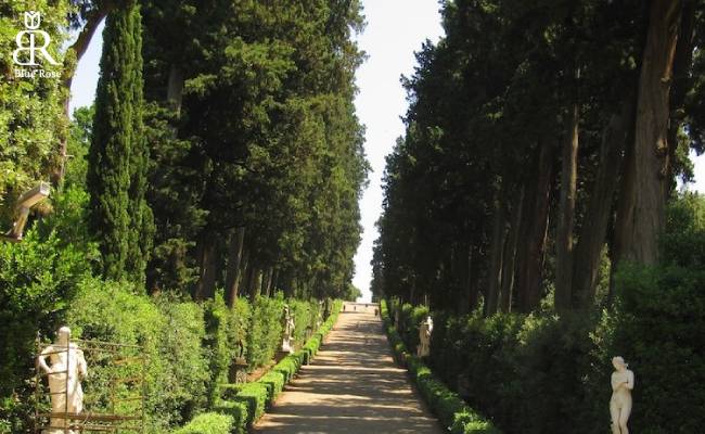 راهنمای بازدید از باغ‌های بوبولی