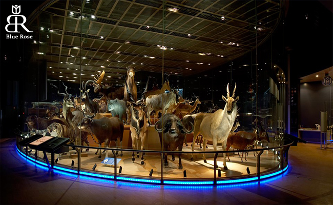 موزه ملی طبیعت و علم