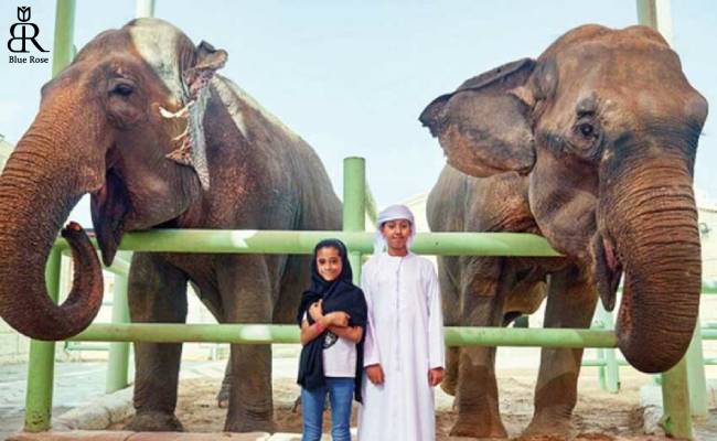 باغ وحش امارات در ابوظبی