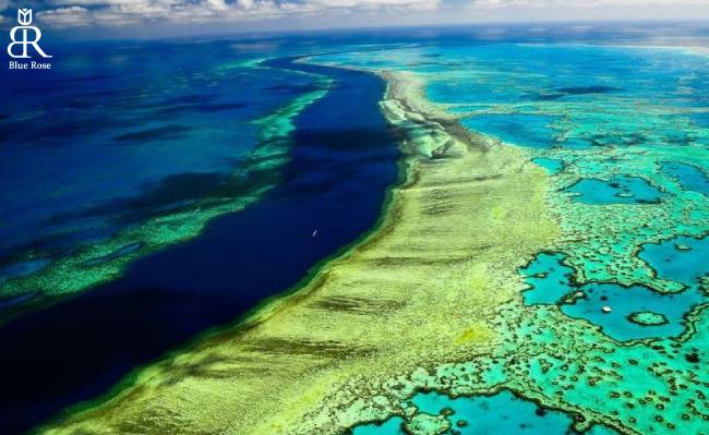 جاذبه صخره‌های مرجانی استرالیا