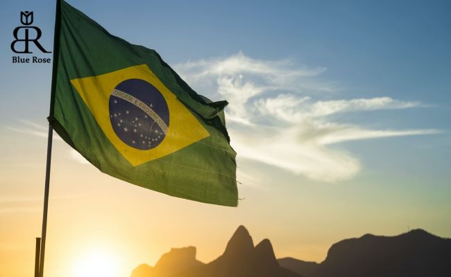 قانون‌های عجیب کشور برزیل