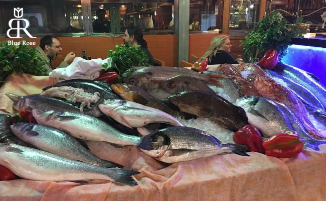 معروف‌ترین ماهی‌های شهر سالامانکا کشور اسپانیا