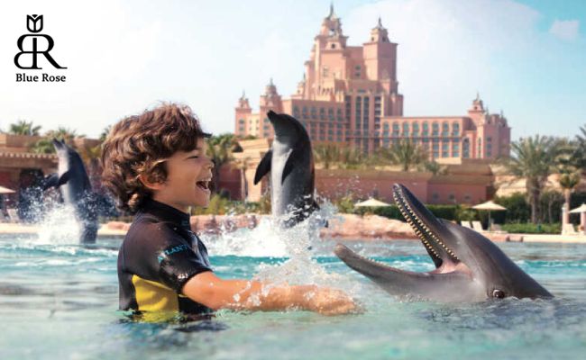 مرکز دلفین بی کشور امارات