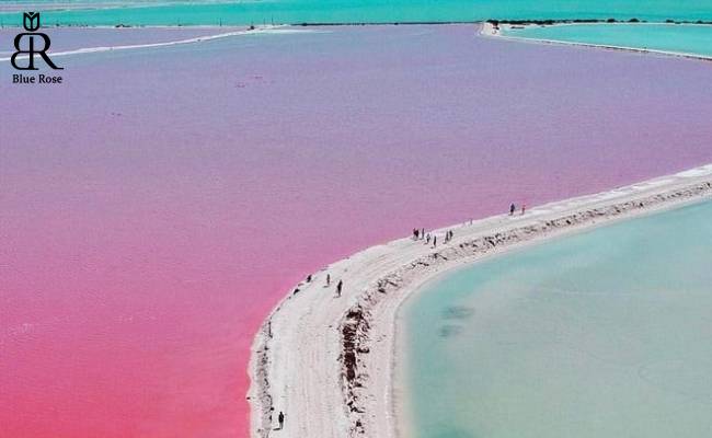 دریاچه صورتی رنگ هیلیر در استرالیا