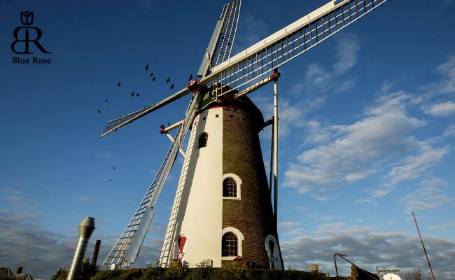 معرفی آسیاب‌های بادی در هلند