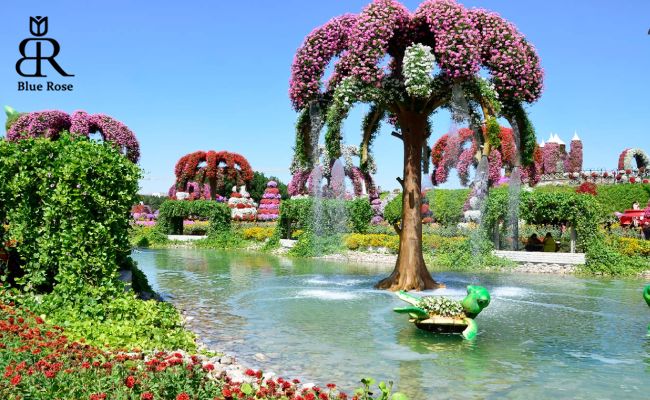 آشنایی با باغ معجزه در دبی