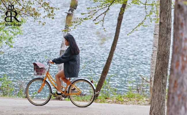 دوچرخه‌سواری در جزیره نامی کره جنوبی