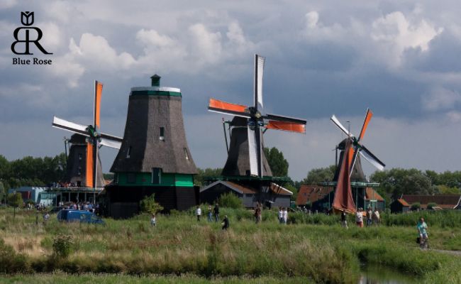 بازدید از آسیاب‌های بادی در هلند