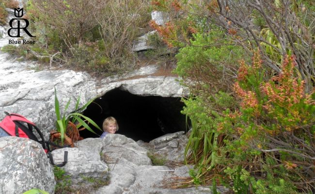 غارهای کیپ تاون در آفریقای جنوبی