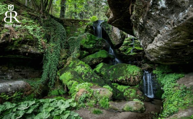 دیدنی‌های پارک ملی ساکسون در سوئیس