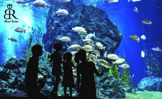 جاذبه‌های دیدنی پاریس برای کودکان