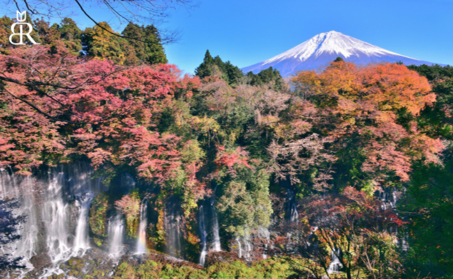 جاذبه‌های آبشار شیرایتو ژاپن