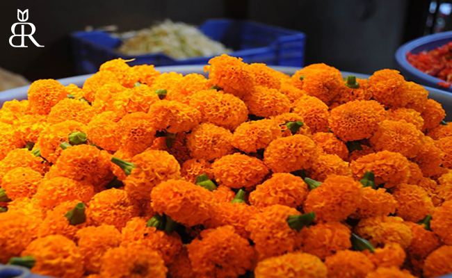جاذبه بازار گل دادار در بمبئی