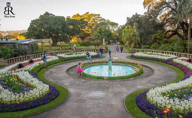 باغ گیاهشناسی سلطنتی سیدنی کجاست
