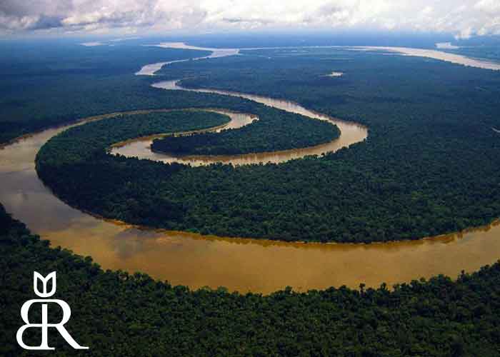 بازدید از رودخانه آمازون